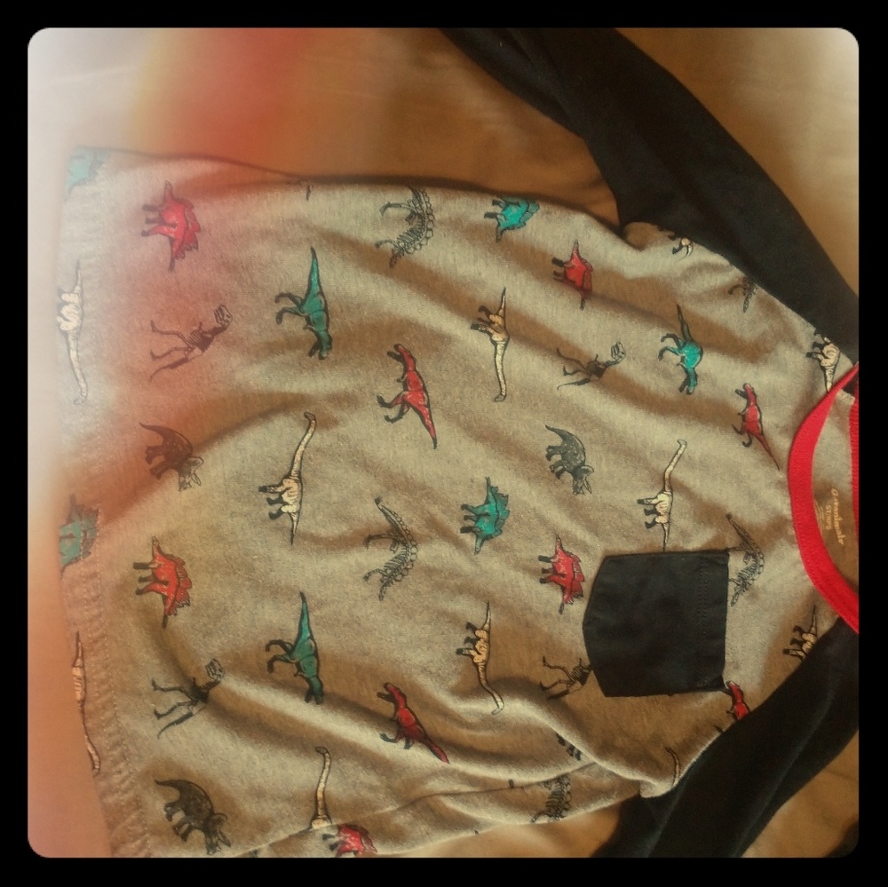 Little boys dinosaur shirt